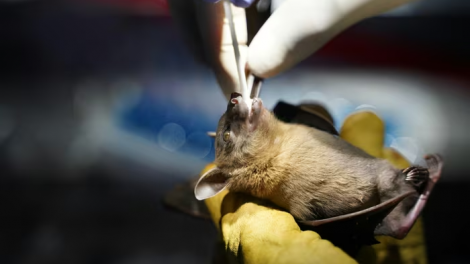 Theo dòng thời sự chiều 28/1/2026