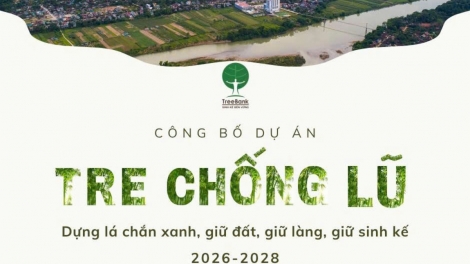 Xây dựng cộng đồng xanh từ những hành động nhỏ