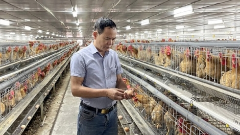 Hành trình làm giàu từ tri thức và công nghệ trong nông nghiệp (22/01/2026)