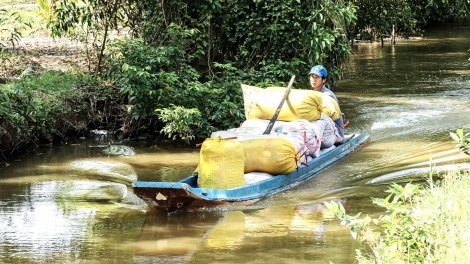 Theo dòng thời sự sáng 26/1/2026