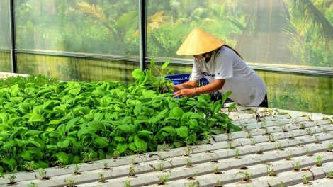 Bắc Ninh chuyển đổi số - tạo sinh kế, giảm nghèo bền vững