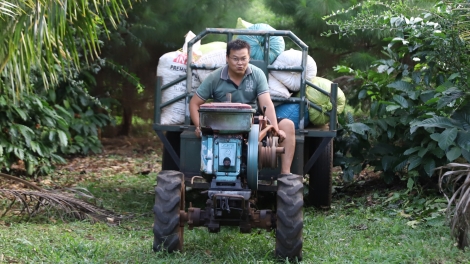 Cà phê - hạt gieo hạnh phúc