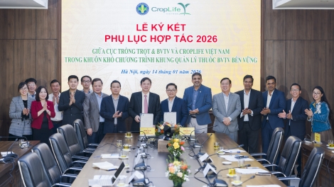 Tăng cường hợp tác thúc đẩy quản lý thuốc bảo vệ thực vật bền vững