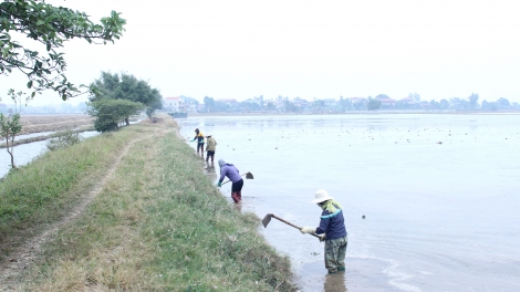 Trung du và Đồng bằng Bắc bộ: sẵn sàng lấy nước đổ ải ngay trong đợt 1 gieo cấy vụ Đông xuân 2025-2026