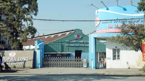 Nhiều hệ thống bán lẻ lớn đồng loạt ngừng bán đồ hộp Công ty CP Đồ hộp Hạ Long