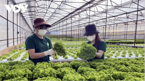 Nhiều tổ chức quốc tế đang hỗ trợ Việt Nam thích ứng biến đổi khí hậu - chuyển đổi xanh