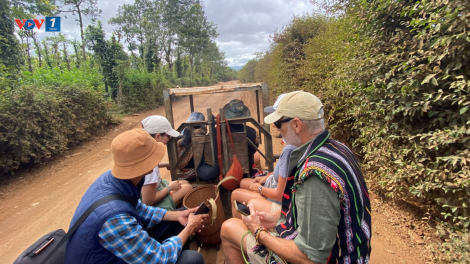 Theo dòng thời sự sáng 25/1/2026