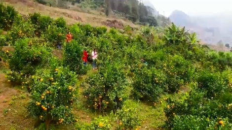 Theo dòng thời sự chiều 13/1/2026