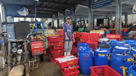 Theo dòng thời sự chiều 30/1/2026