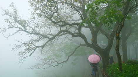 Thời tiết ngày 29/1/2026: Bắc Bộ sương mù trời rét, Nam Bộ ngày nắng