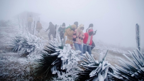 Thời tiết ngày 10/1/2026: Miền Bắc sương mù, nhiệt độ thấp nhất 9 độ C