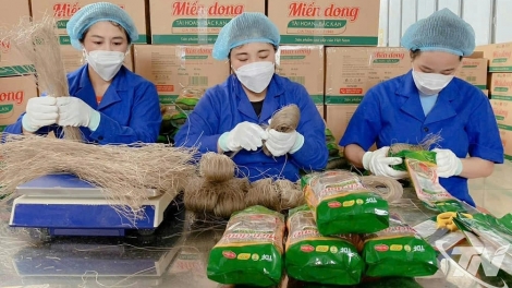 Theo dòng thời sự sáng 4/1/2026