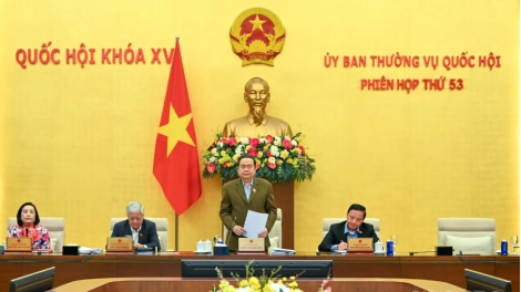 Bản tin 9h 12/1/2026