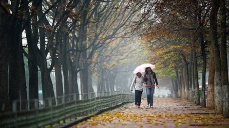 Thời tiết ngày 13/1/2026: Bắc Bộ và nhiều khu vực vẫn chìm trong giá rét