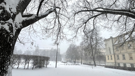 Đông Âu gồng mình chống chọi bão tuyết lịch sử