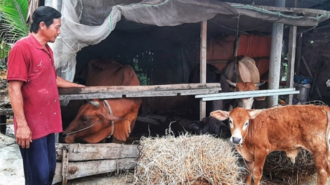 Thời sự 6h 9/1/2026: Thu nhập bình quân khu vực nông thôn năm 2025 đạt 58 triệu đồng/người/năm