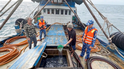 Cà Mau: Cảnh sát biển bắt tàu cá vận chuyển trái phép 100.000 lít dầu D.O