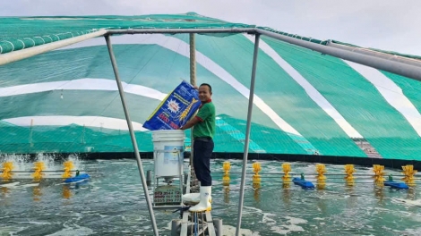 Nông dân Đồng Tháp với cuộc “cách mạng số"  trong sản xuất