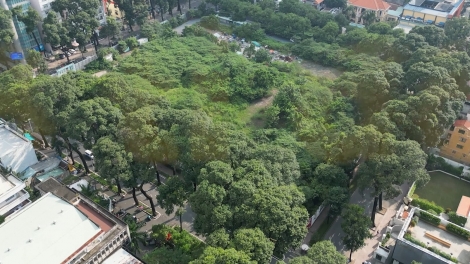 TP.HCM đề xuất chuyển 9 khu "đất vàng" làm vườn hoa tạm Tết Bính Ngọ 2026