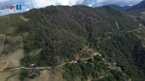 Theo dòng thời sự chiều 1/1/2026