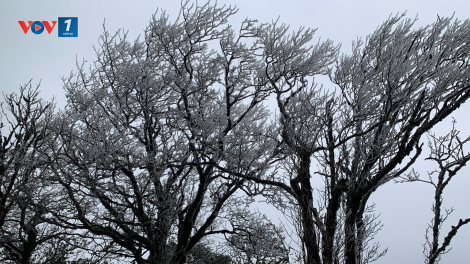 Băng giá xuất hiện trên đỉnh Phia Oắc, Cao Bằng