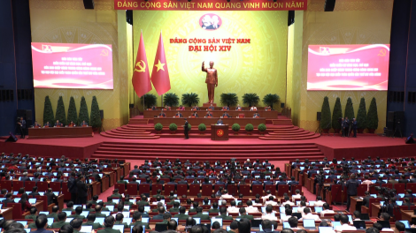 Bản tin 15h 20/1/2026