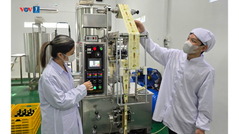 Người nâng tầm "cây dại" U Minh Hạ thành sản phẩm “4 sao”