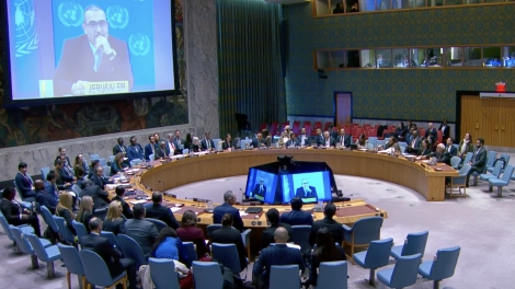 Việt Nam sẵn sàng đóng góp thiết thực cho hòa bình và tái thiết Gaza