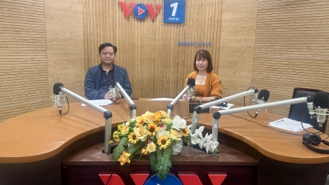 Từ vụ người giúp việc bạo hành cụ 82 tuổi ở Hà Nội: Đừng phó mặc cha mẹ cho người giúp việc 