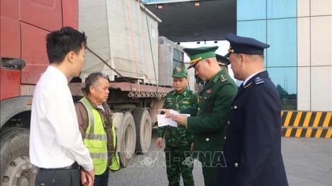 Bản tin 15h 1/1/2026