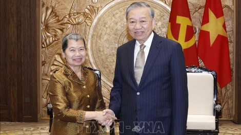 Tổng Bí thư Tô Lâm tiếp Đoàn đại biểu Đảng Nhân dân Campuchia