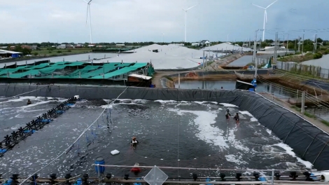 Vĩnh Long đặt mục tiêu sản lượng thủy sản trên 1 triệu tấn năm 2026