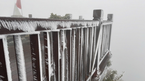 Đỉnh Fansipan xuống -3 độ C, rét đậm bao phủ, người dân cần chủ động bảo vệ sức khoẻ cho người, vật nuôi