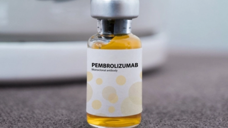 Theo dòng thời sự chiều 6/2/2026