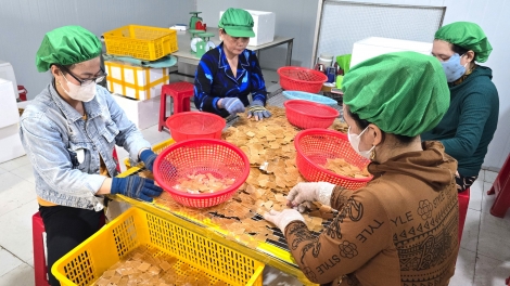 Làng nghề bánh phồng tôm Năm Căn tất bật cung ứng hàng Tết