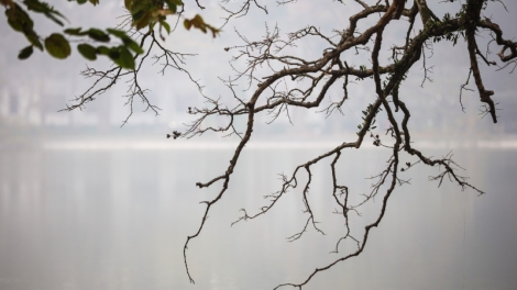 Thời tiết ngày 11/2/2026: Miền Bắc, Hà Nội âm u, mưa rải rác