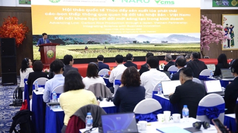 Tăng cường hợp tác công - tư sản xuất lúa phát thải thấp