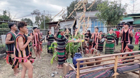 Theo dòng thời sự sáng 8/2/2026