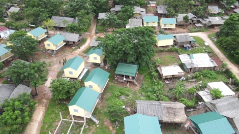 Theo dòng thời sự sáng 11/2/2026