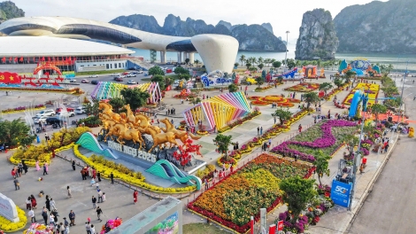 Quảng Ninh đón hơn 580 nghìn lượt khách sau 6 ngày nghỉ Tết Nguyên đán