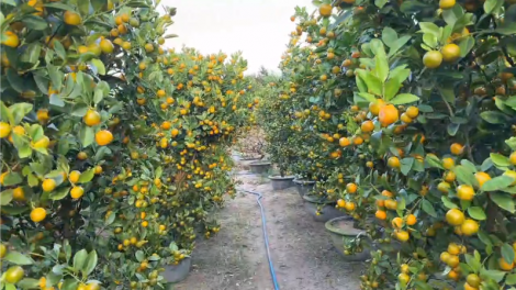 Theo dòng thời sự sáng 10/2/2026