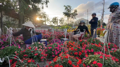 Bão lũ qua rồi, đất lại đơm bông