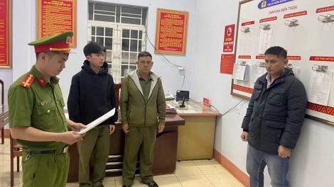 Khởi tố Giám đốc công ty sản xuất hơn 200 tấn lúa giống giả bán ra nhiều tỉnh thành