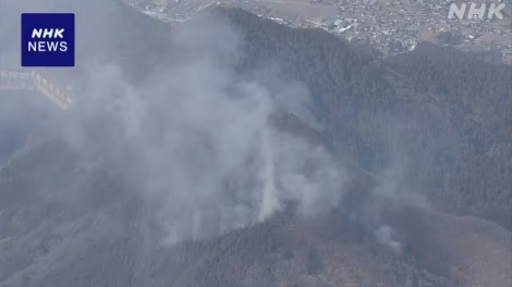 Cháy rừng lại bùng phát tại địa phương giáp ranh thủ đô Tokyo – Nhật Bản