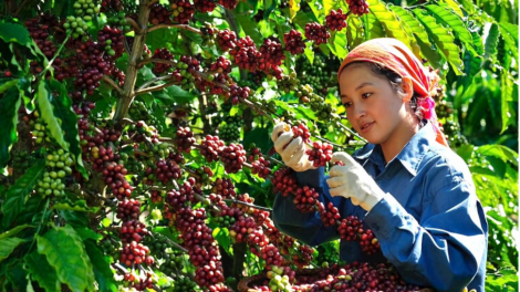 Theo dòng thời sự chiều 28/2/2026