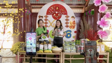 Xuân biên giới trong hương lúa mới