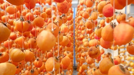 NỤ CƯỜI CỦA GIÓ