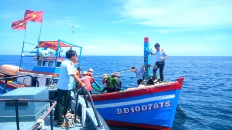 Sau Tết, ngư dân hối hả “mở cửa biển” đón mùa cá mới (23+24/02)