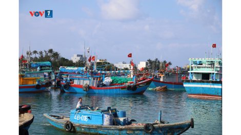 Quảng Ngãi tiếp sức ngư dân chuyển đổi nghề, giảm tàu nguy cơ cao