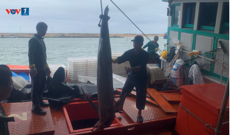 Biên phòng Đắk Lắk sát cánh cùng ngư dân trên những chuyến tàu xuyên Tết